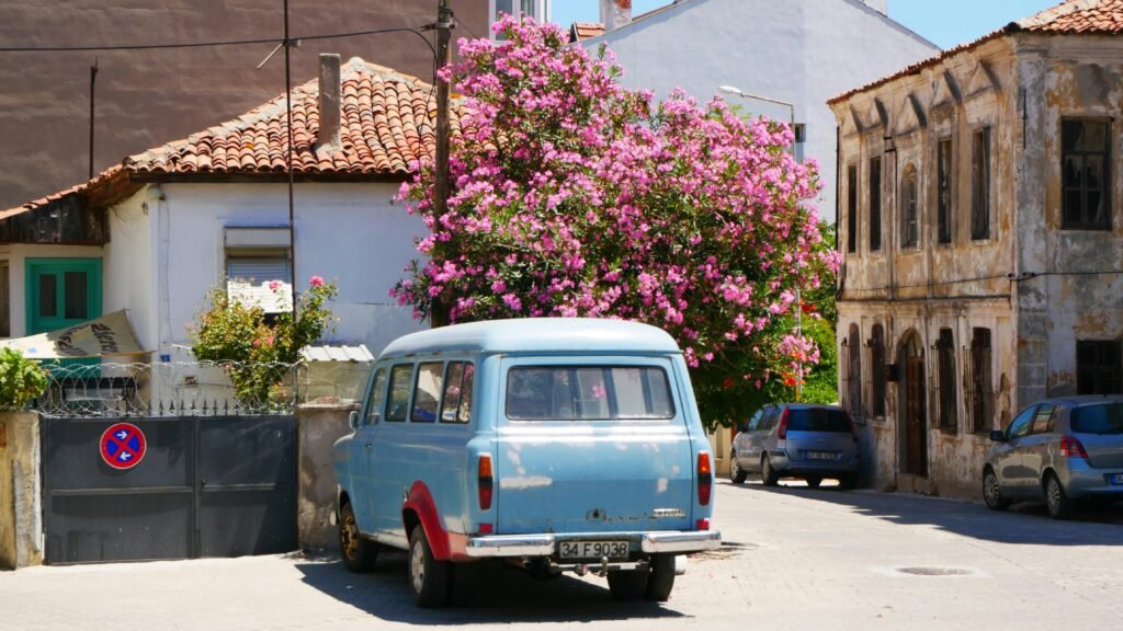 pexels kemal emre koc 2271107 34823714