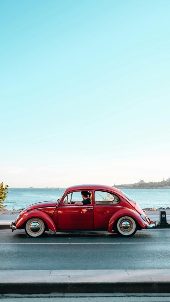 pexels yunusemresahinoglu 8302762